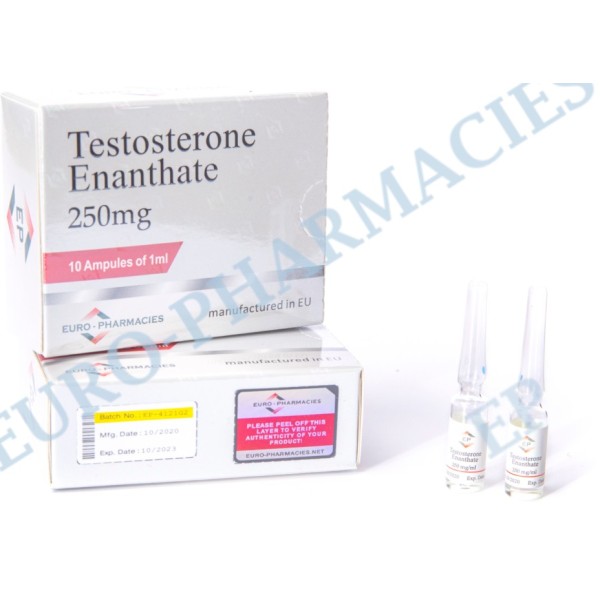 10 amp-Testosterone Enanthate – 250mg-ml 1ml-amp EU Euro-Pharmacies